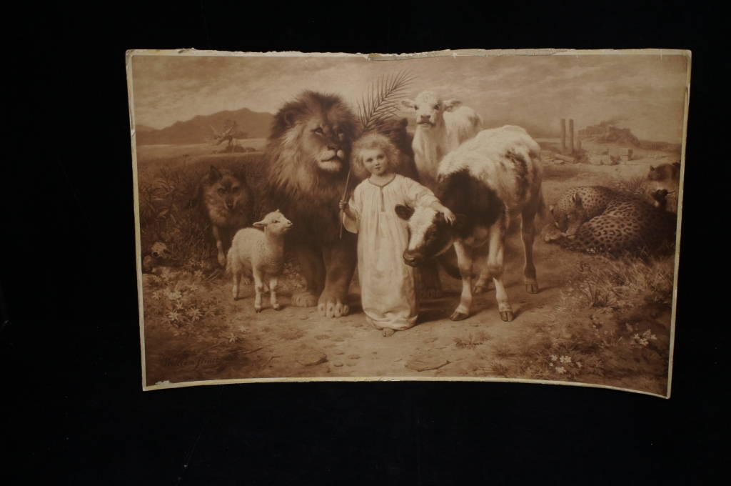 Main Image