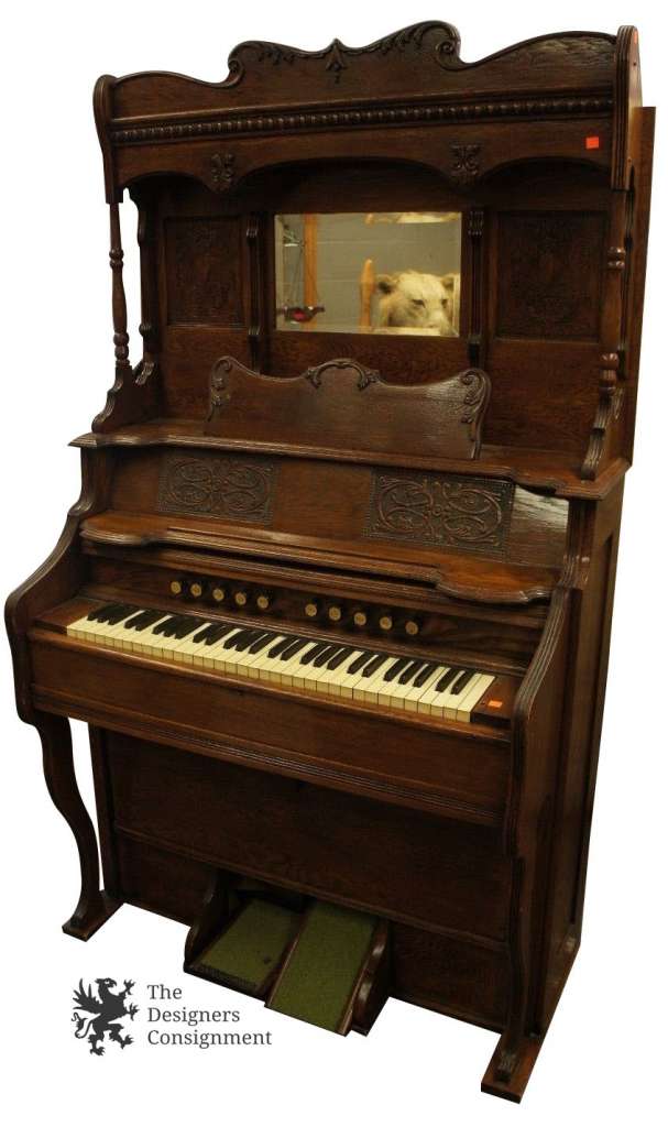 Main Image
