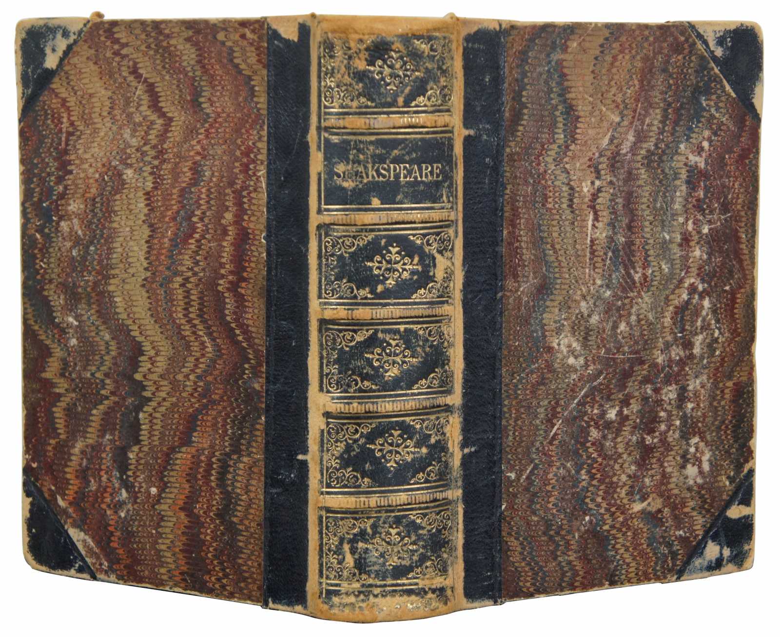Main Image