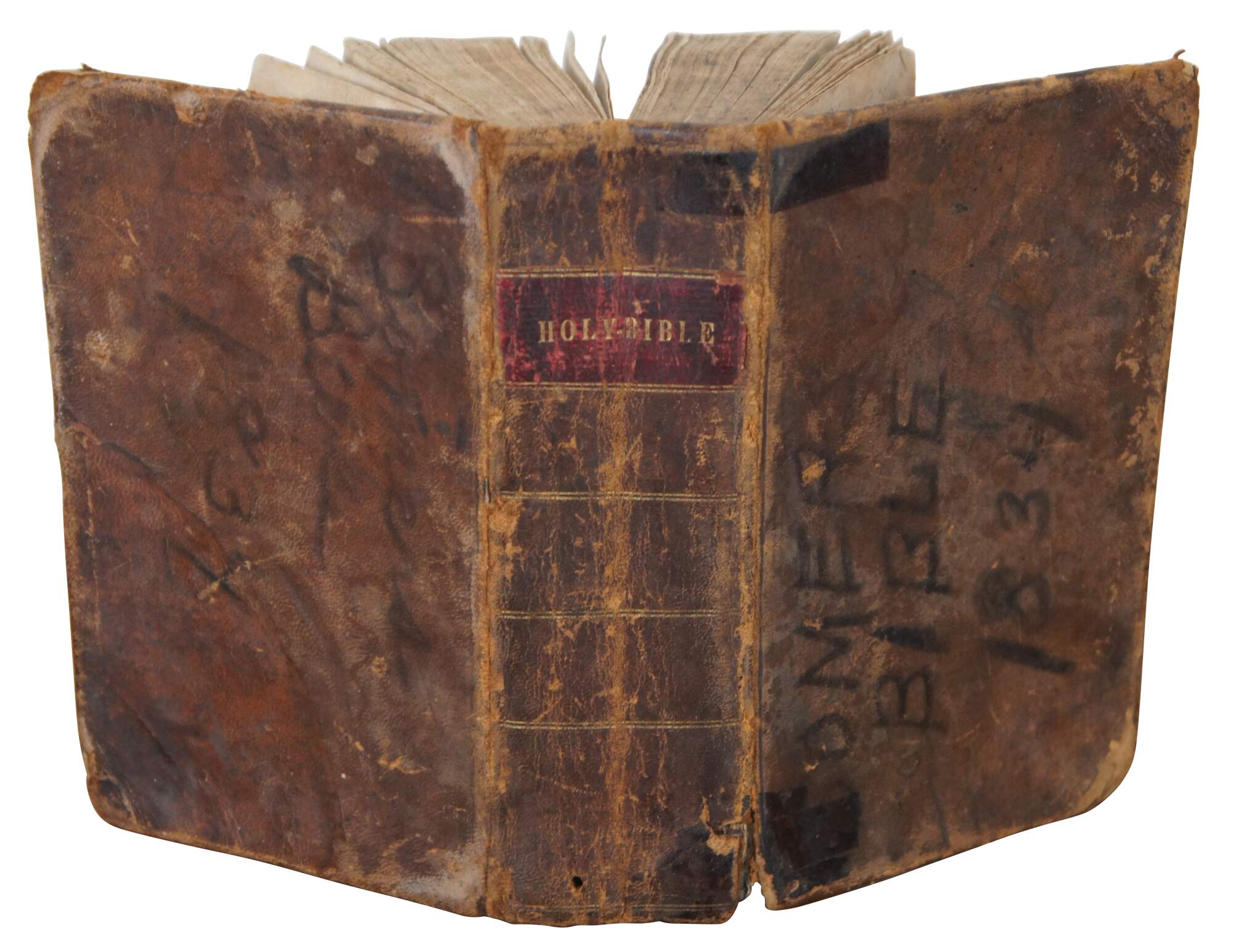 Main Image