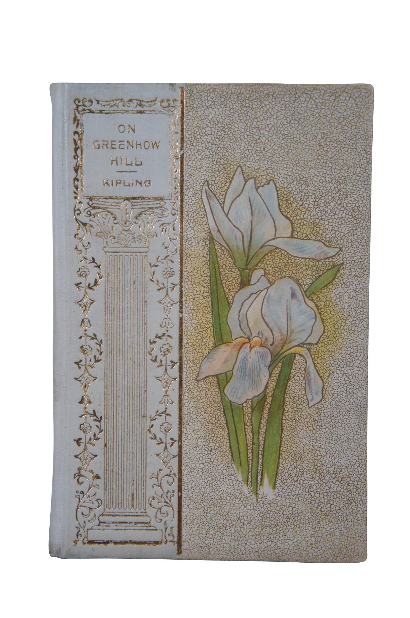 Main Image