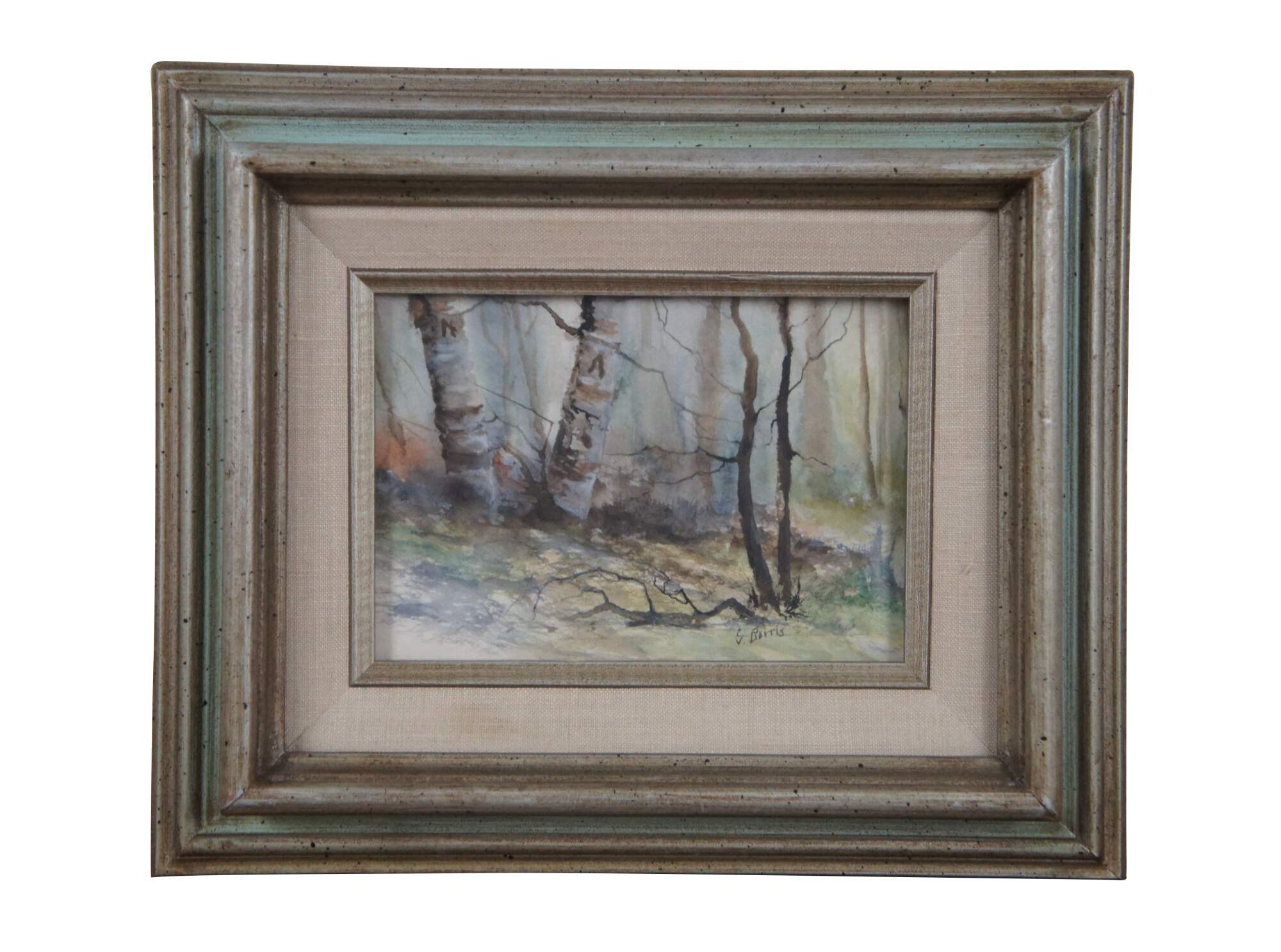 Main Image