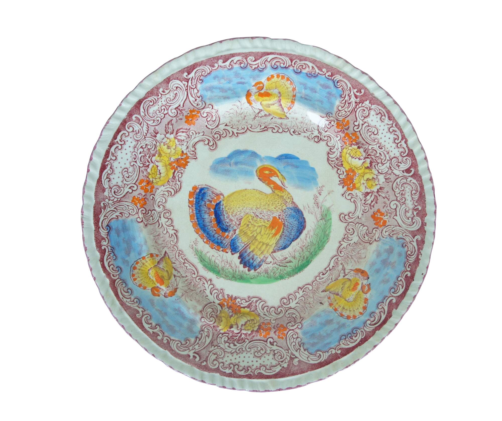 Main Image