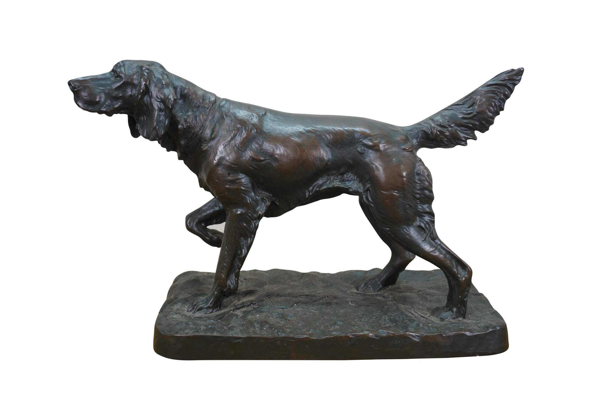Main Image
