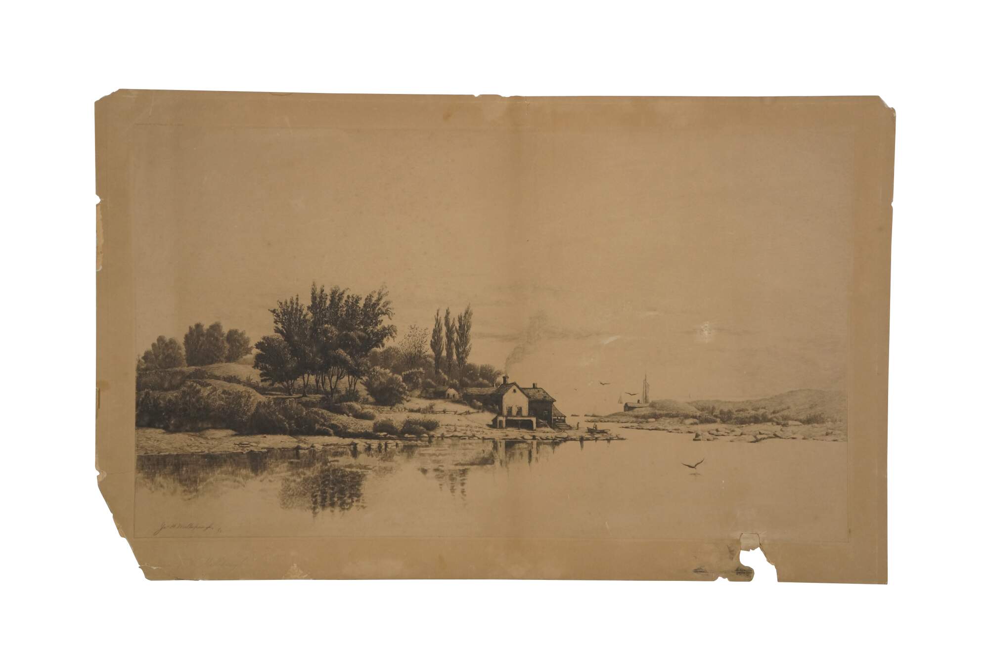 Main Image