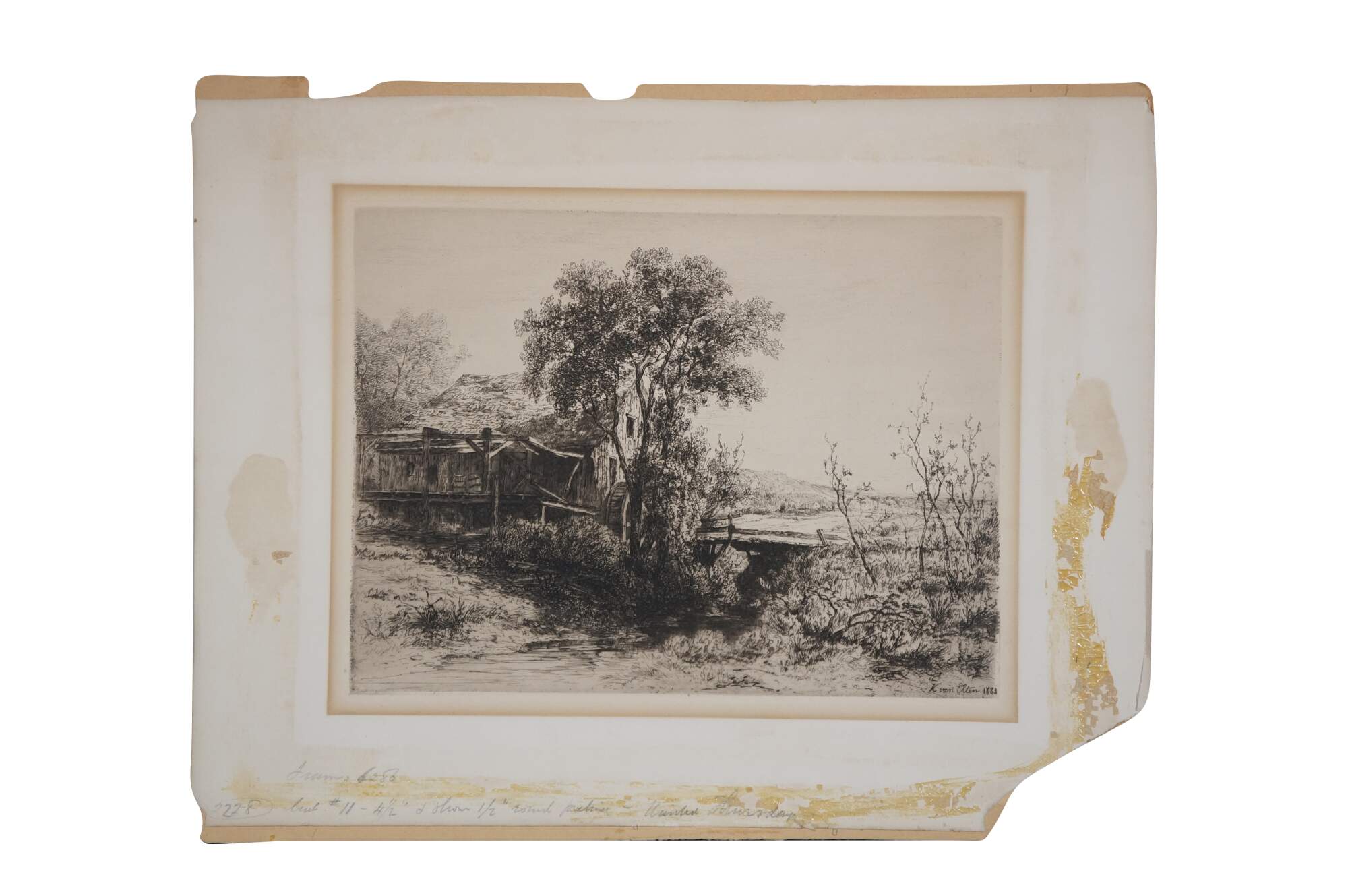 Main Image