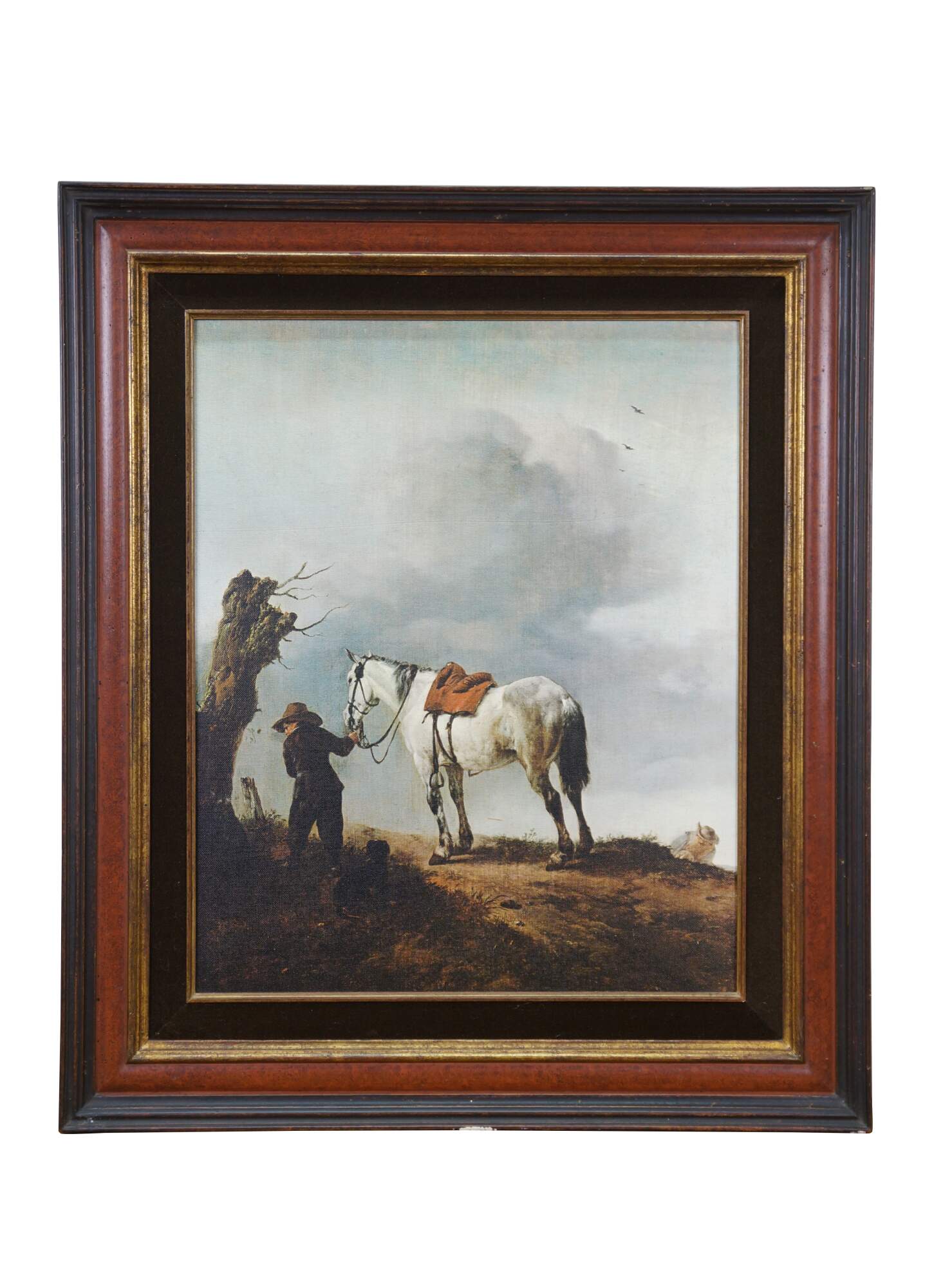 Main Image