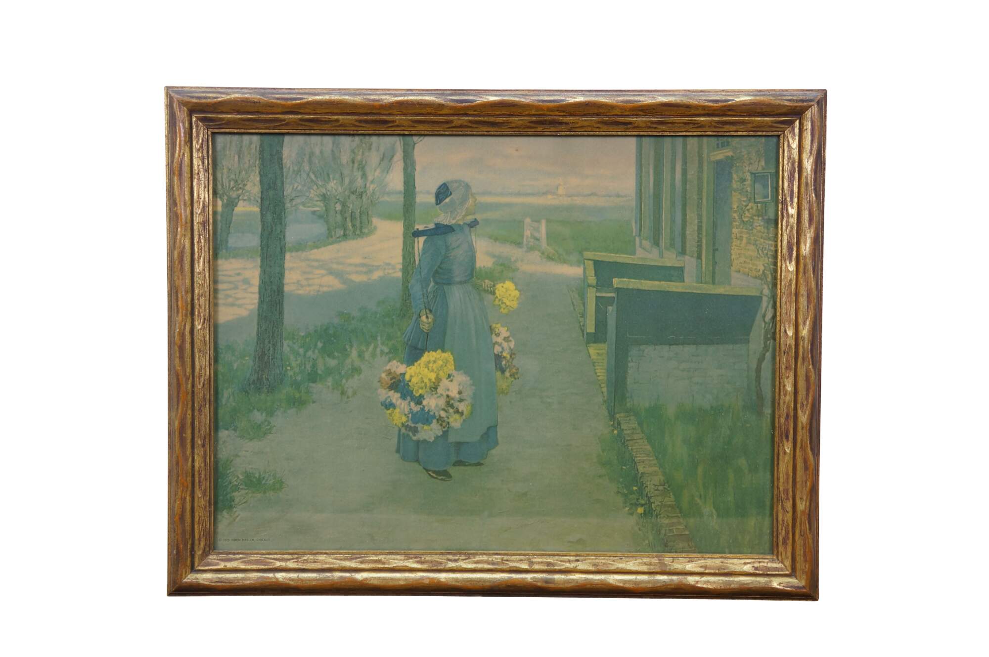 Main Image